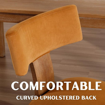 RIVOVA Set of 2 Modern Dining Chairs, Farmhouse Velvet Upholstered Dining Room Chairs Kitchen Chairs Side Armless Chairs with Curved Backrest Wood Legs, Yellow Brown
