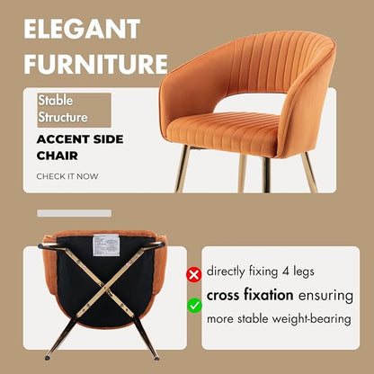 Hyfirm Orange Velvet Dining Chairs Set of 2, Modern Gold Legs Dining Room Chairs with Hollow Back, Upholstered Accent Kitchen Chairs for Living Room/Reception/Restaurant