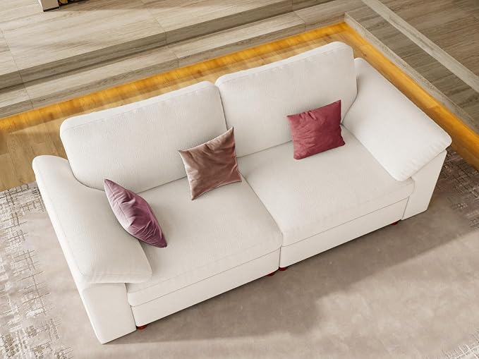 EASE MOOSE Modern Loveseat Sofa for Living Room, Comfty 2 Seat Solid Wood Frame Sofa, Modern Deep Seat Couch, Removable Cover