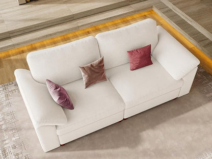 EASE MOOSE Modern Loveseat Sofa for Living Room, Comfty 2 Seat Solid Wood Frame Sofa, Modern Deep Seat Couch, Removable Cover