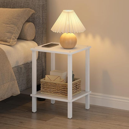 TUTOTAK End Table, Side Table, Nightstand, 2-Tier Storage Shelf, Sofa Side Table for Small Space, Living Room, Bed Room V1TB01BW034