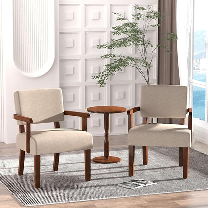 FAGAGA Accent Chair, Cat-Scratch Velvet Living Room Chairs Oversize with Soft Seat and Armrests for Dinning Room Bedroom Reading Room Waiting Room