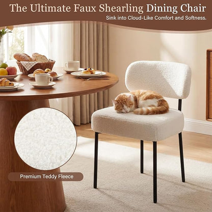 Dining Chairs, White Boucle, 2 Pack | Kitchen Dining Room, Curved Backrest, Comfortable Upholstered, Mid Century Modern