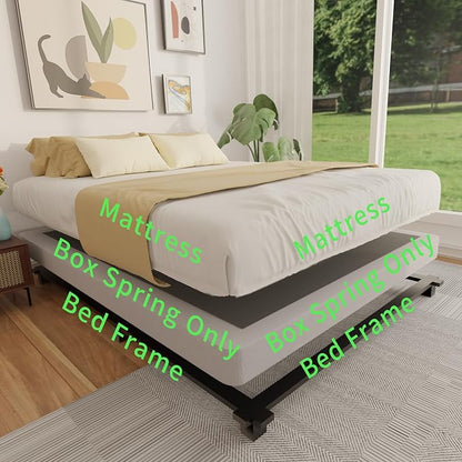 FMDMR 4 Inch Queen Box Spring, Low Profile Box Spring Queen Only, Heavy Duty Mattress Foundation Metal Bed Base with Fabric Cover, Easy Assembly, Non-Slip, Noise Free