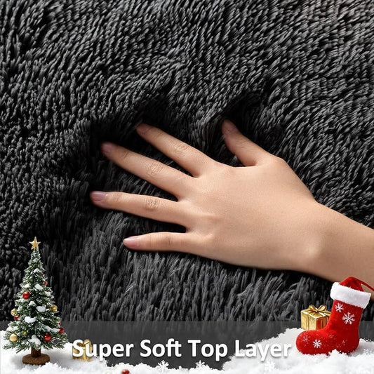 Ophanie Small Black Entryway Throw Rugs for Bedroom, 2x3 Mini Area Rug, Affordable Non Slip Fluffy Carpet, Fuzzy Soft Living Room Rug, Home Decor Aesthetic, Nursery