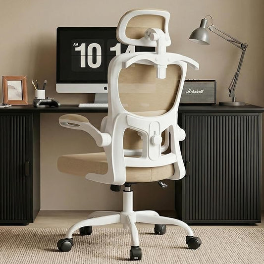 AreShark Office Chair Ergonomic Desk Chairs with Adjustable Lumbar Support& Headrest Hanger, High Back Breathable Mesh Chair with Wheels, Rolling Swivel Comfy Task Computer Chair for Home Work Gaming