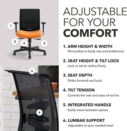 HON Convergence Ergonomic Office Chair with Mesh Back, Adjustable Arms, Lumbar Support, Synchro‑Tilt Desk Chair with Wheels for Home Office or Computer Use, Black Frame, Apricot