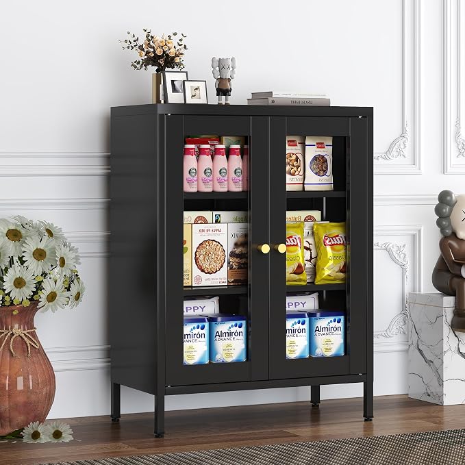 Metal Bathroom Glass Storage Cabinet with 2 Doors & Adjustable Shelves, 25" Black Multipurpose Office Cabinet for Dining Room, Kitchen