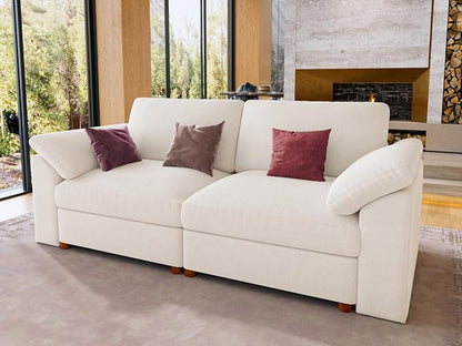EASE MOOSE Modern Loveseat Sofa for Living Room, Comfty 2 Seat Solid Wood Frame Sofa, Modern Deep Seat Couch, Removable Cover