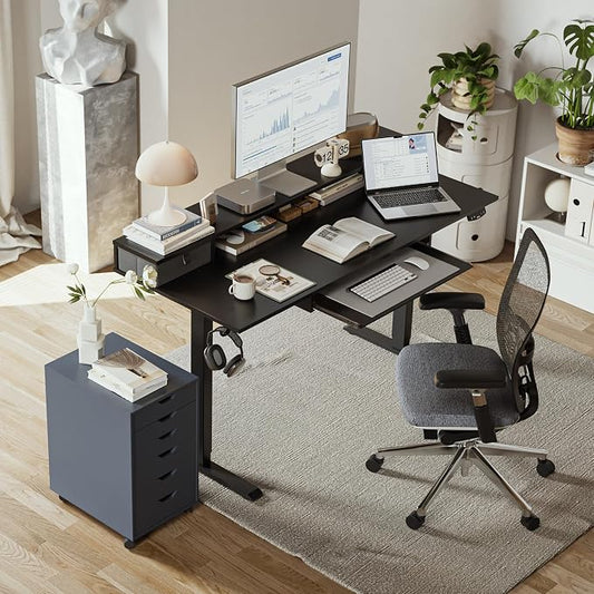 Agilestic Electric Standing Desk with 2 Drawers and Keyboard Tray, 55 x 24 Inches Ergonomic Adjustable Height Desk with Storage, Sit Stand up Desk Computer Workstation, Black