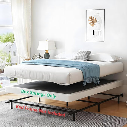 Vaciwe Queen Box Spring 4 Inch Heavy Duty Metal Box Springs Mattress Foundation with Easy Clean Cover, Noise Free, Easy Assembly