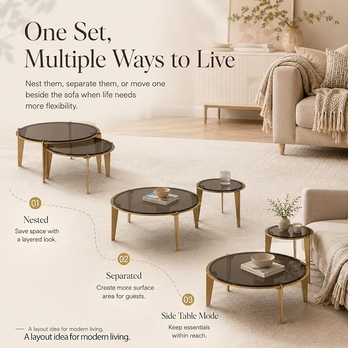Nesting Coffee Table Set of 2, Organic Round Smoked Glass Tables with 8mm Tempered Glass, Champagne Gold Steel Frame, Sculptural Modern Accent Tables for Living Room, Apartment