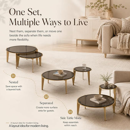 Nesting Coffee Table Set of 2, Organic Round Smoked Glass Tables with 8mm Tempered Glass, Champagne Gold Steel Frame, Sculptural Modern Accent Tables for Living Room, Apartment