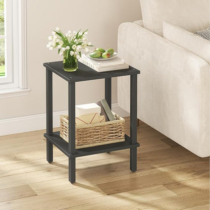 TUTOTAK End Table, Side Table, Nightstand, 2-Tier Storage Shelf, Sofa Side Table for Small Space, Living Room, Bed Room Black TB01BK034