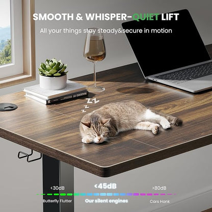 SIAGO Electric Standing Desk Adjustable - 63 x 24 Inch Sit Stand up Desk with 0.8 Inch Thick Tabletop - Adjustable Height Table with 3 Memory Preset, Cable Management for Home Office