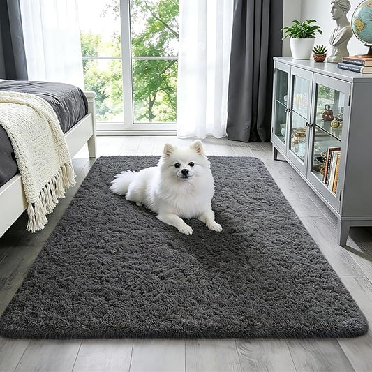 Ophanie Washable 3x5 Area Rug, Bedside Preppy Dorm Rug, College Essentials Non Slip Grey Small Carpets for Bedroom, Anti Slip Fluffy Gray Living Room, Home Decor Aesthetic, Nursery