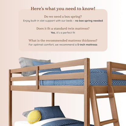 Grain & Grove Bear Twin Over Twin Bunk Bed, Low Bunk Bed Frame for Kids, Bunk with Ladder, Guardrail, and Slats, No Box Spring Required, Oak Embossed Pecan