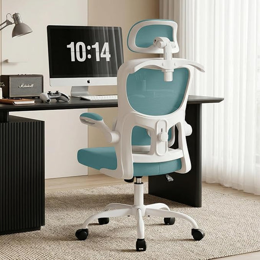 AreShark Office Chair Ergonomic Desk Chairs with Adjustable Lumbar Support& Headrest Hanger, High Back Breathable Mesh Chair with Wheels, Rolling Swivel Comfy Task Computer Chair for Home Work Gaming