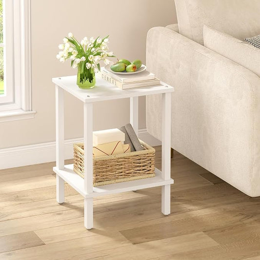 TUTOTAK End Table, Side Table, Nightstand, 2-Tier Storage Shelf, Sofa Side Table for Small Space, Living Room, Bed Room V1TB01BW034