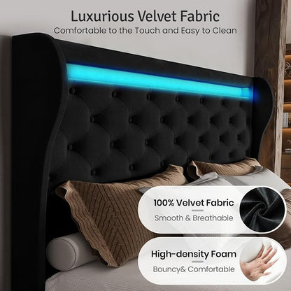 Belffin Queen Size Bed Frame with Headboard,50" Tall Headboard Upholstered Velvet Platform Bed with LED Lights & 2 USB Port/1 Type C Port, Button Tufted, No Box Spring Needed,Noise Free,Black