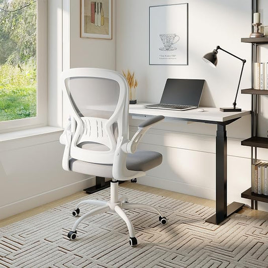 Youhauchair Mesh Office Chair, Ergonomic Home Office Desk Chairs with Flip-up Arms and Lumbar Support, Height Adjustable, Grey