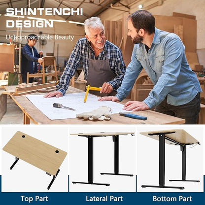 Shintenchi Standing Desk,55x24 Inch Height Adjustable Electric Sit Stand up Desk, Ergonomic Rising Computer Table, Modern Lift Gaming Desk Workstation for Home Office, White