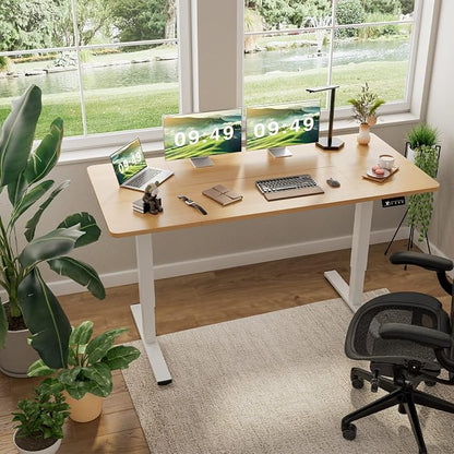 Furmax Electric Height Adjustable Standing Desk Large 63 x 24 Inches Sit Stand Up Desk Home Office Computer Desk Memory Preset with T-Shaped Metal Bracket, Wood