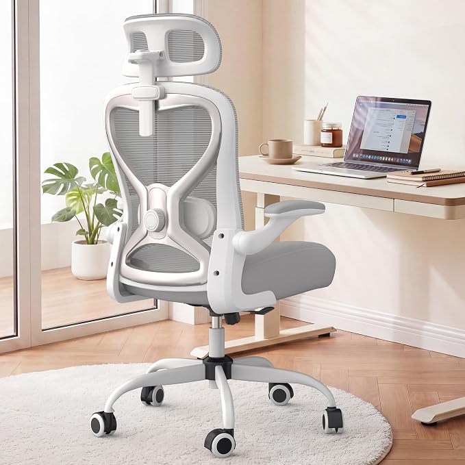 Ergonomic Office Chair for Back & Neck Pain Relief, Virgin Foam Seat, 2D Adjustable Lumbar & 3D Headrest, Tilt & Rock for Relaxation, Ideal for Long Sitting Comfort, Gray/Silver