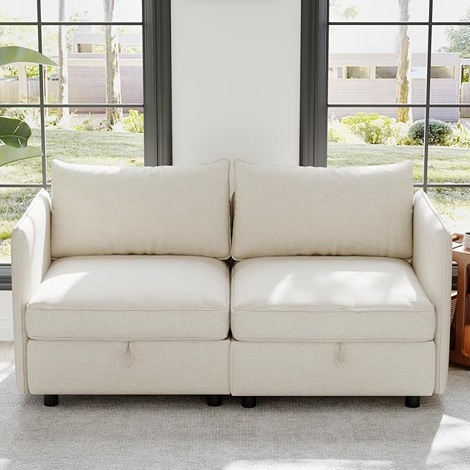 ERYE 68-Inch Loveseat Modular Sofa Deep Seat Storage Sectional Sofa Couch with Free Combination Backrests and Armrests,2 Seat Chenille Upholstered Love Seat Couch for Living Room Bedroom Office | Space Saving