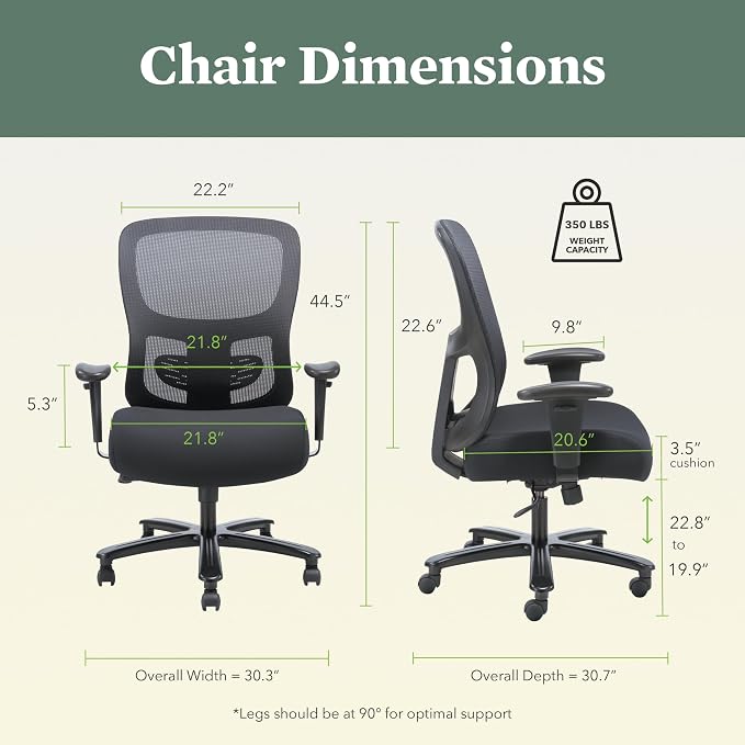 HON Sadie Big and Tall Ergonomic Office Chair with Mesh Back, Adjustable Lumbar Support and Arms, High Back Desk and Computer Chair for Home Office or Workstation, 350 lb. Weight Capacity, Black