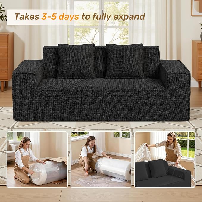 Luxanimarion 77'' Modern Small Loveseat, No Assembly Required Cloud Sofa Cloud Sofa Boneless Couches with 2 pcs Pillows for Living Room, Apartment(Polar Fleece-Black)