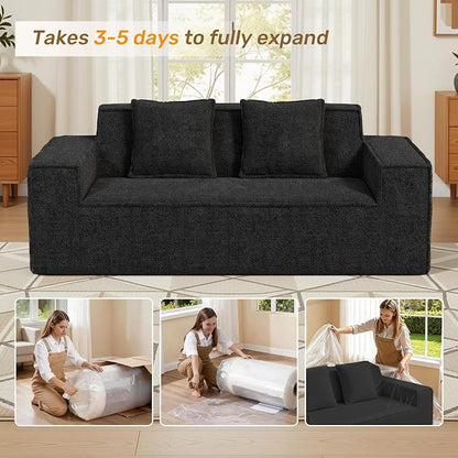 Luxanimarion 77'' Modern Small Loveseat, No Assembly Required Cloud Sofa Cloud Sofa Boneless Couches with 2 pcs Pillows for Living Room, Apartment(Polar Fleece-Black)