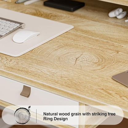 Grandder Electric Standing Desk with Four Drawers, Sit to Stand Up Height Adjustable Desk with Storage Shelf for Home Office, 55 * 24 Inch, Study, Ergonomic Adjustable Computer Desk, Oak