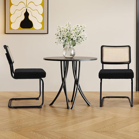 KROFEM Dining Chairs Set of 2,Modern Rattan Kitchen Chairs,Black | Mid Century Modern Design,Polished Chrome Frame,Upholstered Seat