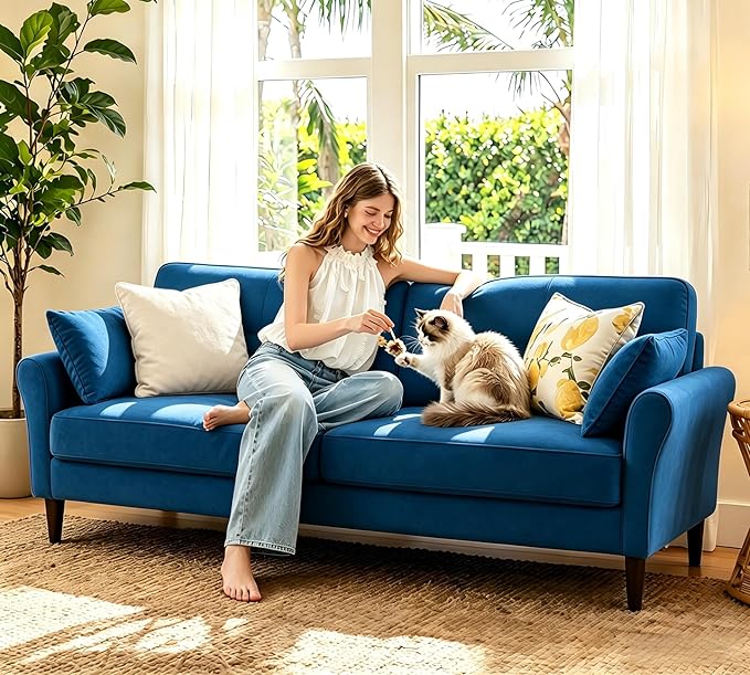 Loveseat Sofa, 69" Love Seat Couches, Comfy Velvet Small Couches for Small Spaces with 2 Pillows, Tool-Free Setup Sofas & Couches, 700lb Load Sofas for Living Room, Mini Couch for Bedroom, Blue Couch