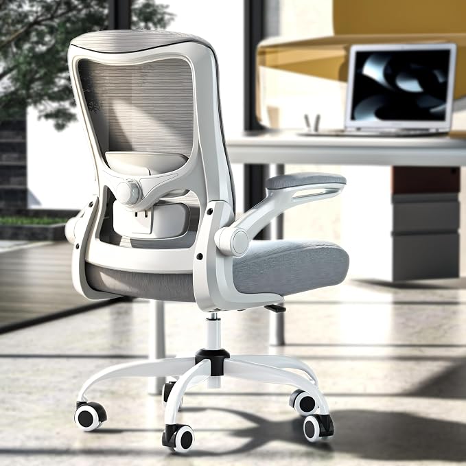 Ergonomic Office Chair for Long Hours, Padded Lumbar Support for Lower Back Relief, 330 lb Capacity, Comfortable Computer Desk Chair for Home Office, Computer & Study