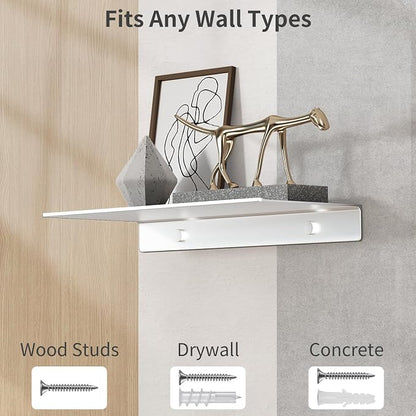 Danpoo 12 inch Metal Wall Shelf Small Floating Shelf for Wall Organizer & Storage, Display Shelf for Bathroom, Living Room, Kitchen, Bedroom(Silver)