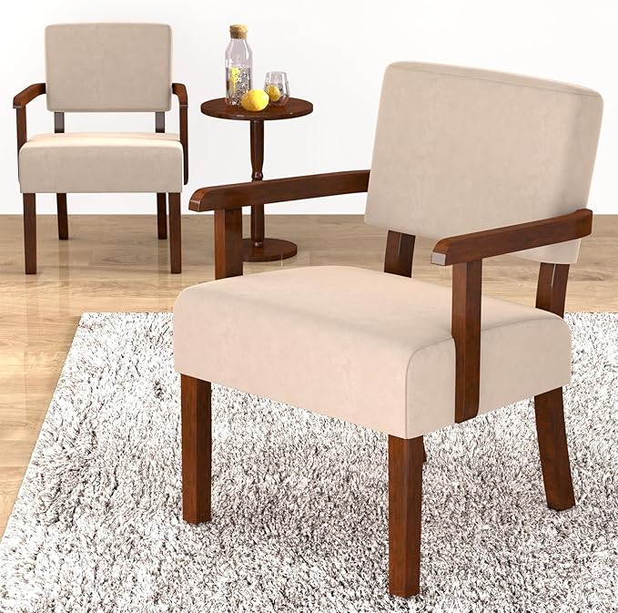 FAGAGA Accent Chair, Cat-Scratch Velvet Living Room Chairs Oversize with Soft Seat and Armrests for Dinning Room Bedroom Reading Room Waiting Room
