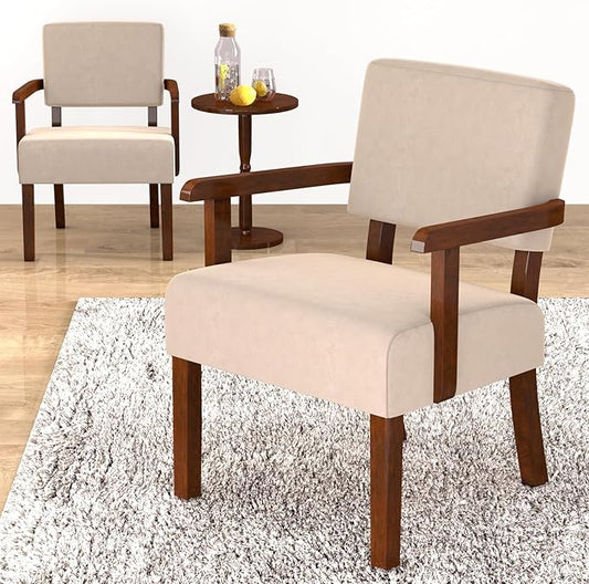FAGAGA Accent Chair, Cat-Scratch Velvet Living Room Chairs Oversize with Soft Seat and Armrests for Dinning Room Bedroom Reading Room Waiting Room
