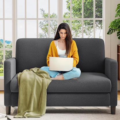 Welzona Loveseat, 51" Small Couch, Comfy Teddy Love Seat for Living Room, Tool-Free Setup Loveseat Sofa for Small Spaces, All-Wood Small Sofa Couch for Bedroom, Grey