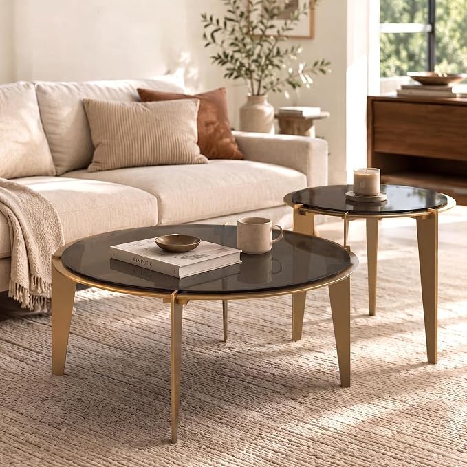 Nesting Coffee Table Set of 2, Organic Round Smoked Glass Tables with 8mm Tempered Glass, Champagne Gold Steel Frame, Sculptural Modern Accent Tables for Living Room, Apartment