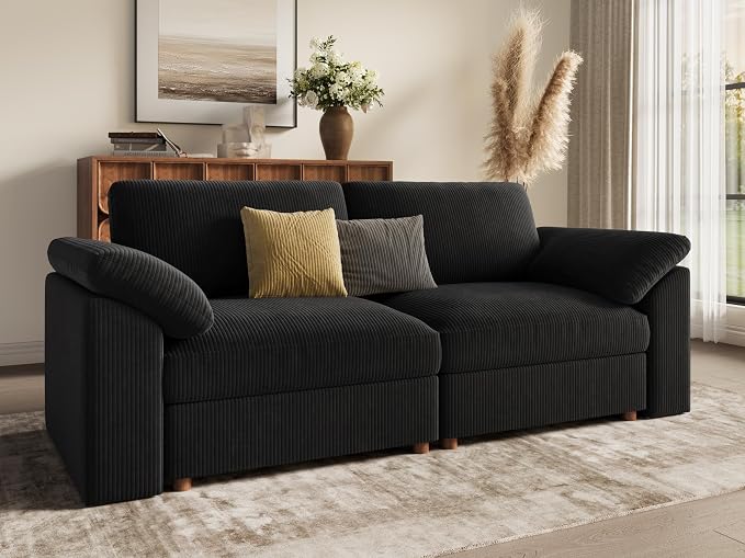 EASE MOOSE Comfty 2 Seat Couch, Modern Deep Seat Sectional Modular for Living Room,Black
