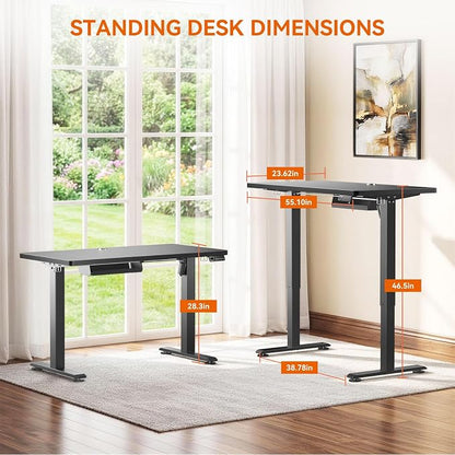 Standing Desk, 48 x 24 Inches Electric Height Adjustable Desk, Sit Stand up Desk, Memory Computer Home Office Gaming Desk with 3 Preset Heights, Wood Table Cable Management Box, Black