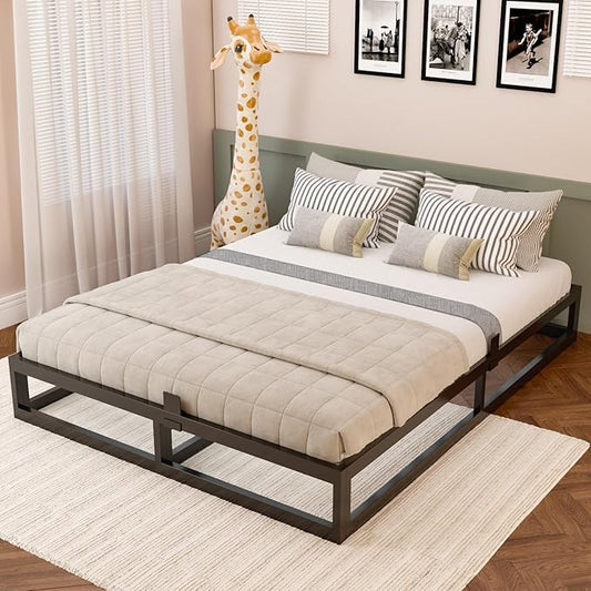 Bilily 10 Inch Queen Bed Frame with Steel Slat Support,Low Profile Queen Metal Platform Bed Frame Support Mattress Foundation,Heavy Duty,No Box Spring Needed,Easy Assembly,Noise Free