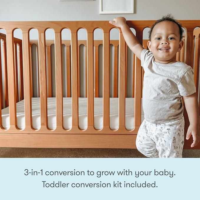 Newton Baby Galileo Standard Crib, Solid Beech Wood in Chestnut Color, 3-in-1 Convertible Crib with Toddler Bed Conversion Kit, Baby-Safe Finish