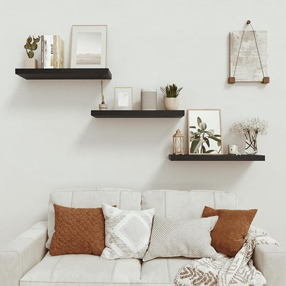 Vivelove Black Floating Shelves for Wall Mounted, 24 inchs x 9.1” Deep x 1.6” Thick Wall Shelves for Bedroom, Living Room, Bathroom，Kitchen, Office, Home Decor Shelf with Invisible Bracket - Set of 2