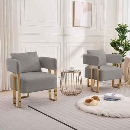 YISHENG Modern Barrel Accent Chairs Set of 2, Living Room Side Chairs with Golden Metal Legs Soft Teddy Upholstered Reading Armchairs no Wheels for Vanity/Reception Room//Bedroom/Lounge/Office, Grey