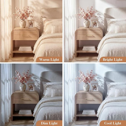 Night Stand [Unique Curved Profile] [FSC-Certified Wooden Board] 1-Drawer and 1 Storage Shelf Nightstand 24" H Metal Handle Modern Bedside Table Side Table End Table