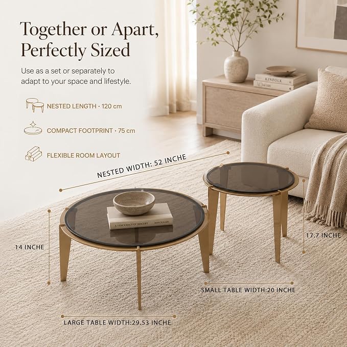 Nesting Coffee Table Set of 2, Organic Round Smoked Glass Tables with 8mm Tempered Glass, Champagne Gold Steel Frame, Sculptural Modern Accent Tables for Living Room, Apartment