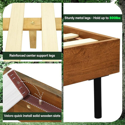 Acacia Alander Bed Frame with Headboard Bed Frame Queen Size Solid Wood Platform Bed, Scandinavian Signature High Headboard Wood Bed Compatible with All Mattress Types, 30 Mins Assembly, Walnut